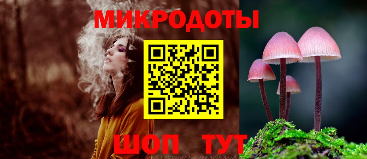 Псилоцибиновые грибы Psilocybine cubensis Кунгур